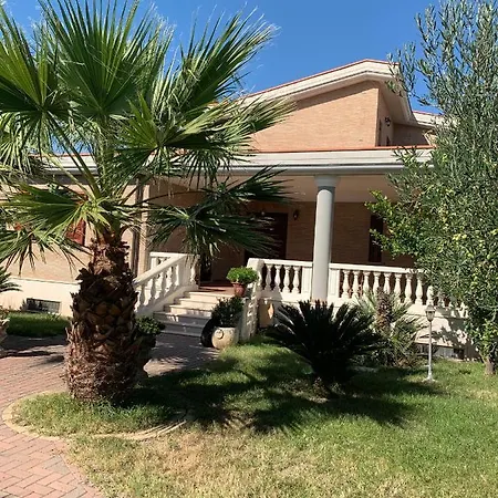 Immersi Nella Natura